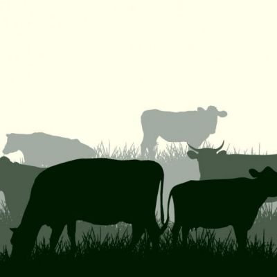 cow-silhouettes_23-2147517690
