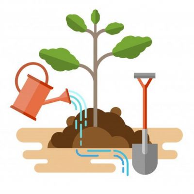ecological-botany-flat-sapling-concept-illustration_1995-220
