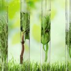 natural-energy-product-supplement-natuur